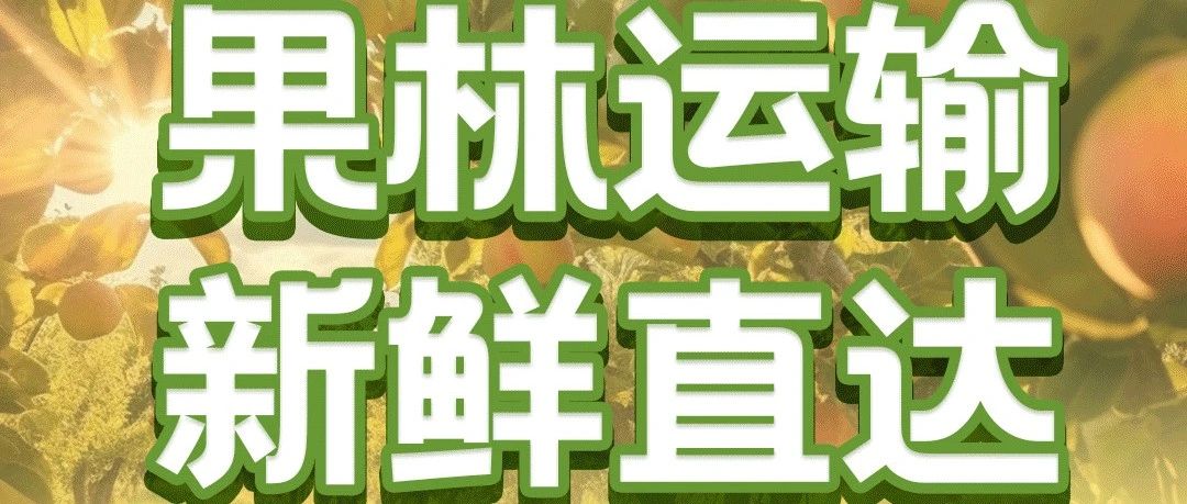 淮海果园车系列新鲜直达快速高效